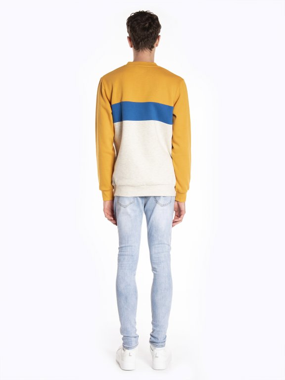 Color block sweatshirt with print