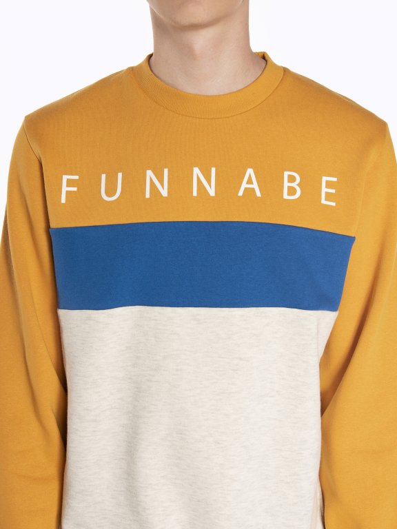 Color block sweatshirt with print