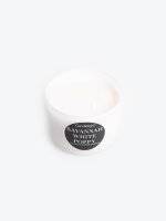 Savannah white poppy scented candle