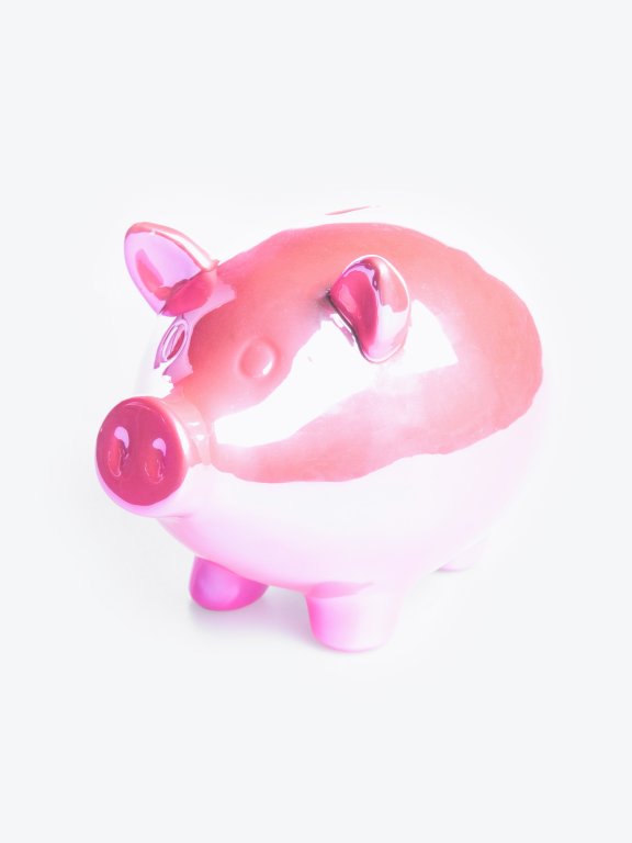 Large pig money box