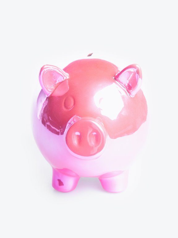 Large pig money box