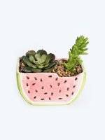 Watermelon pot with faux flower