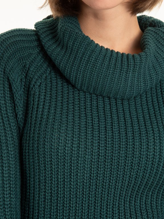 Long ribbed rollneck
