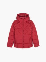Short quilted  padded jacket
