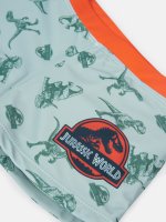 Swim boxers Jurassic World