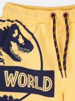 Swim shorts Jurassic World