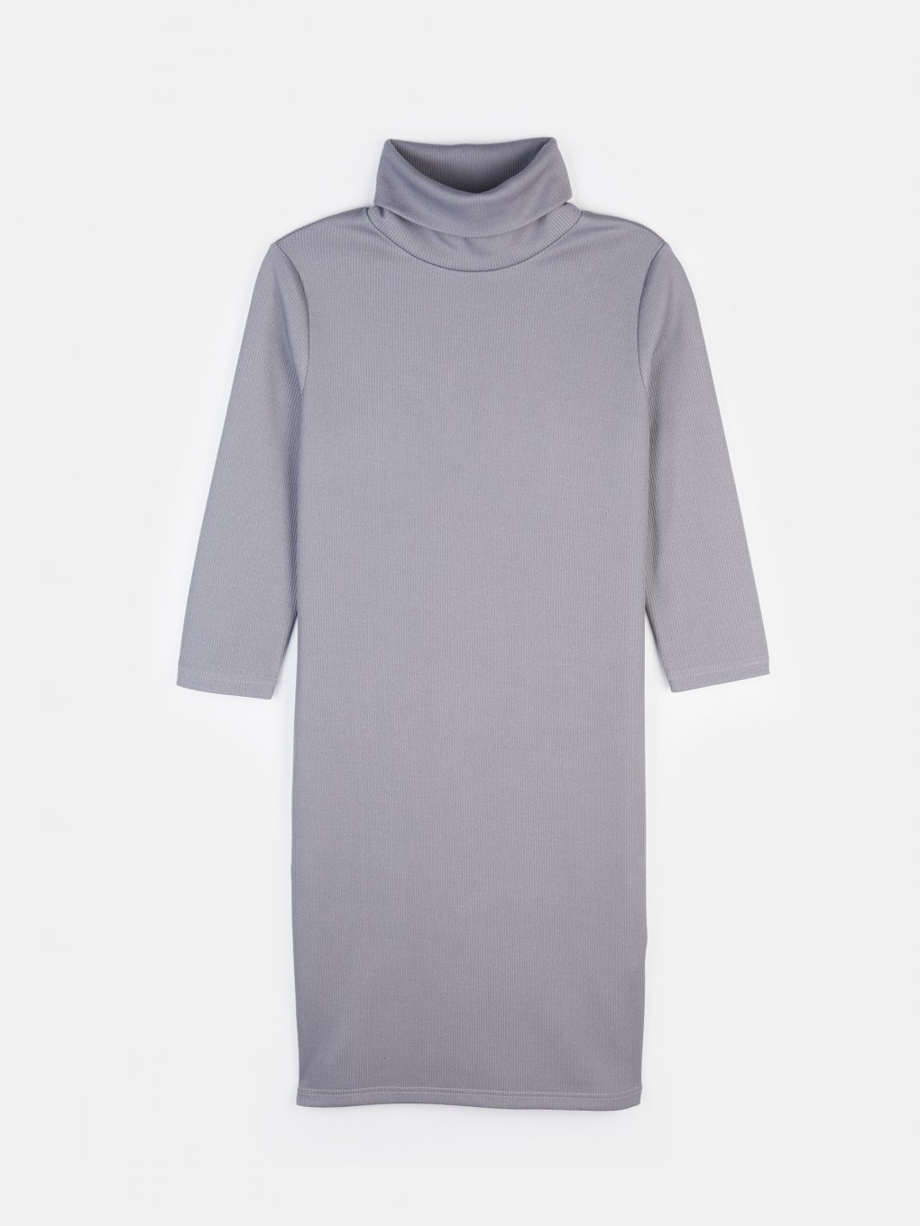 Roll neck ribbed dress