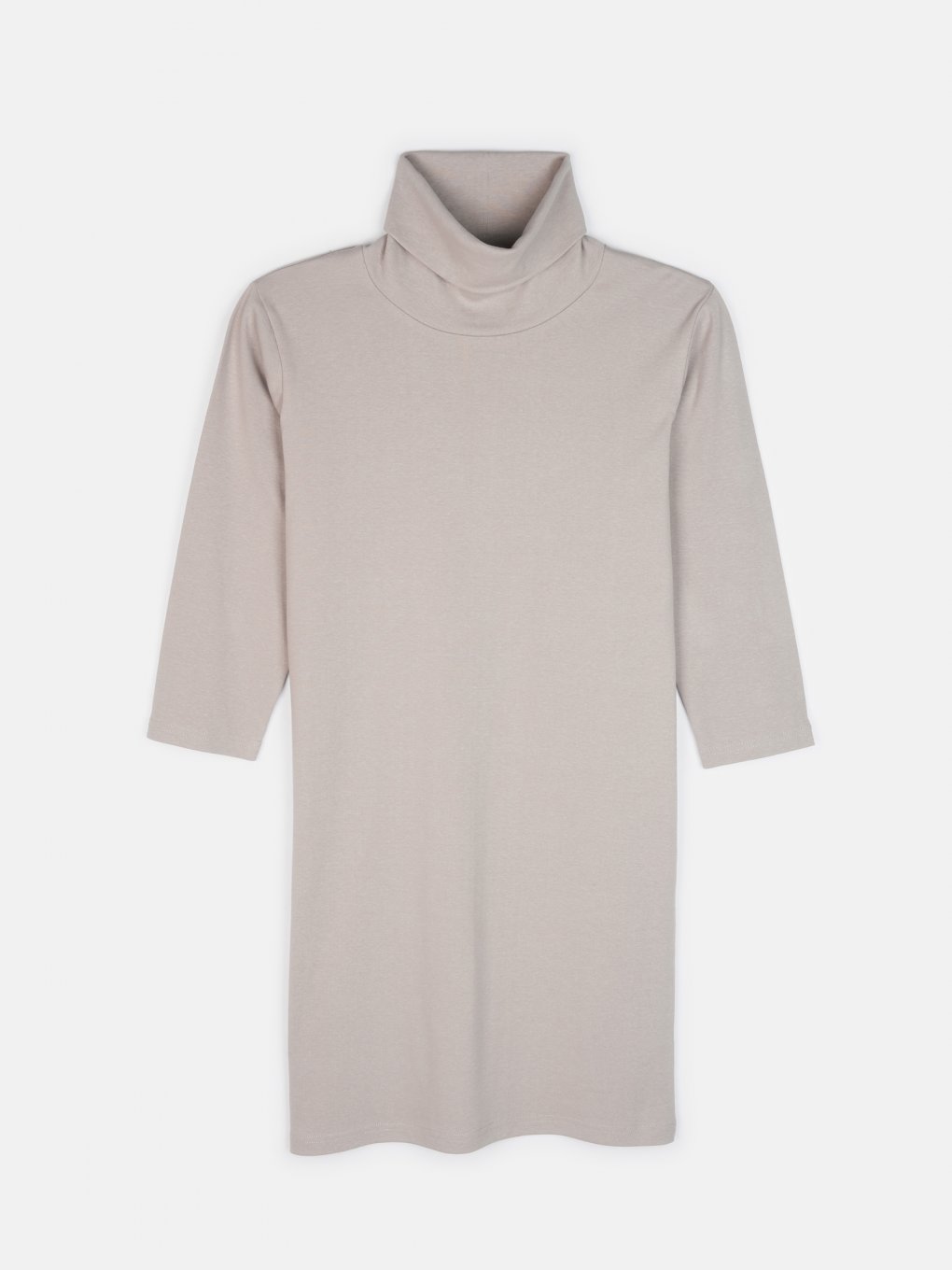 T-shirt dress with roll neck