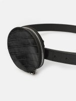Belt with purse