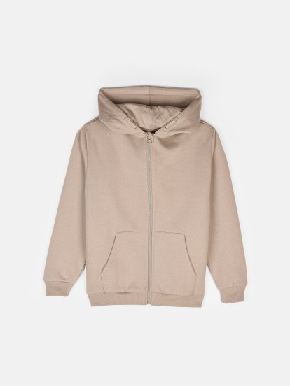 Zip-up sweatshirt with a hood